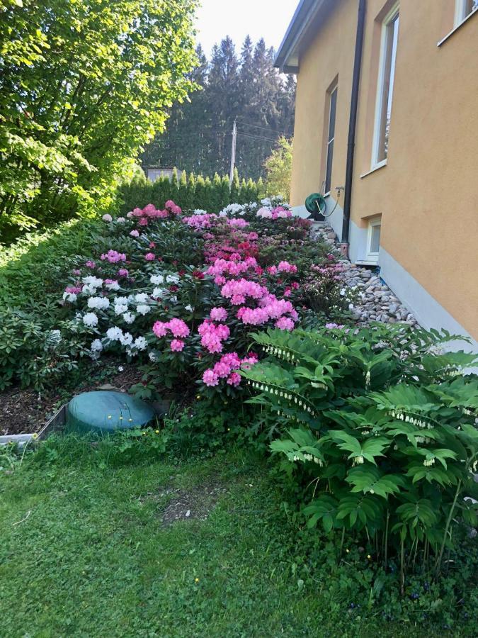 Am Wildbach Bei Passau Apartment Saming Екстериор снимка