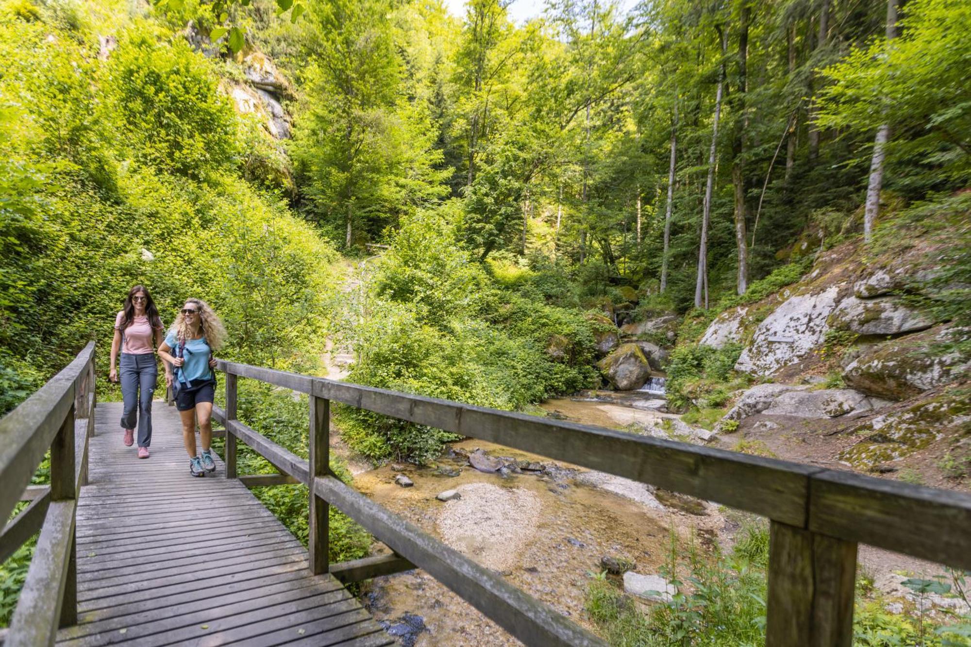Am Wildbach Bei Passau Apartment Saming Екстериор снимка