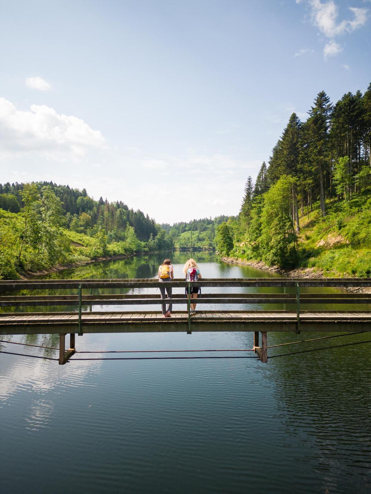 Am Wildbach Bei Passau Apartment Saming Екстериор снимка